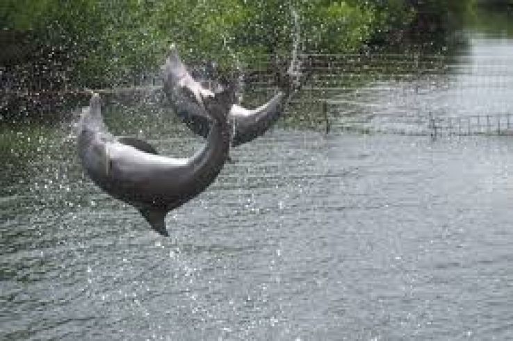 Media Luna Trip Packages