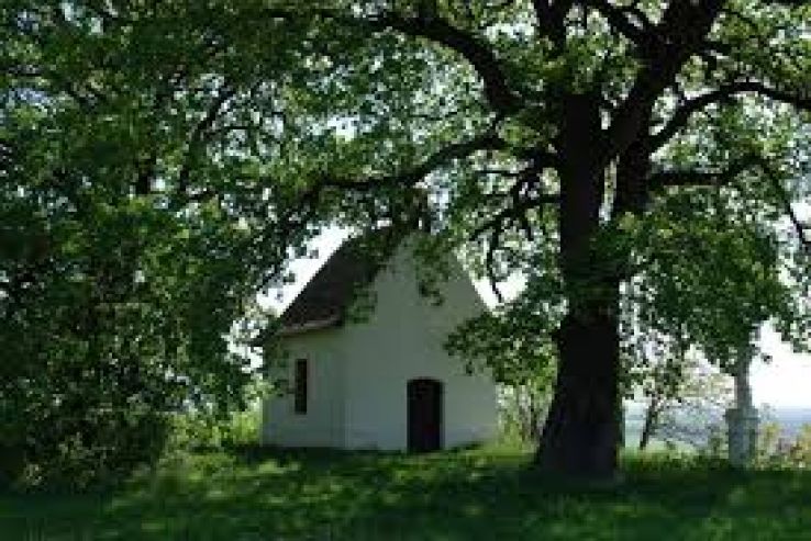 Bataszek Trip Packages