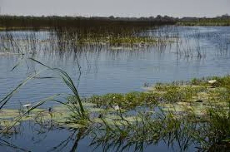 3 Days 2 Nights Thamo Telele Tour Package by Jungle Gems Travel Agency