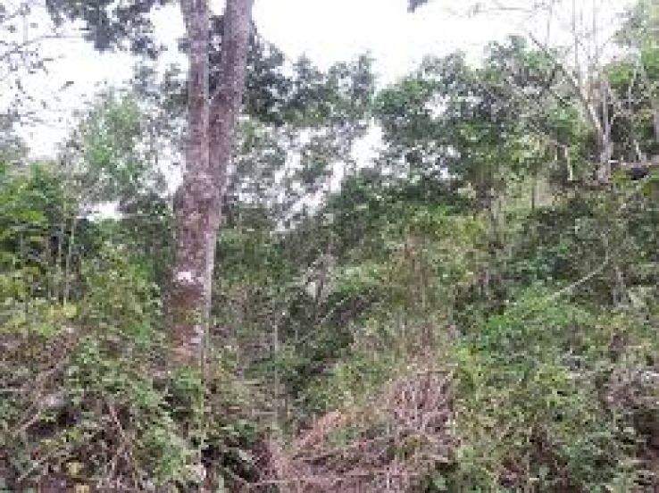 Concepcion de Ataco Trip Packages