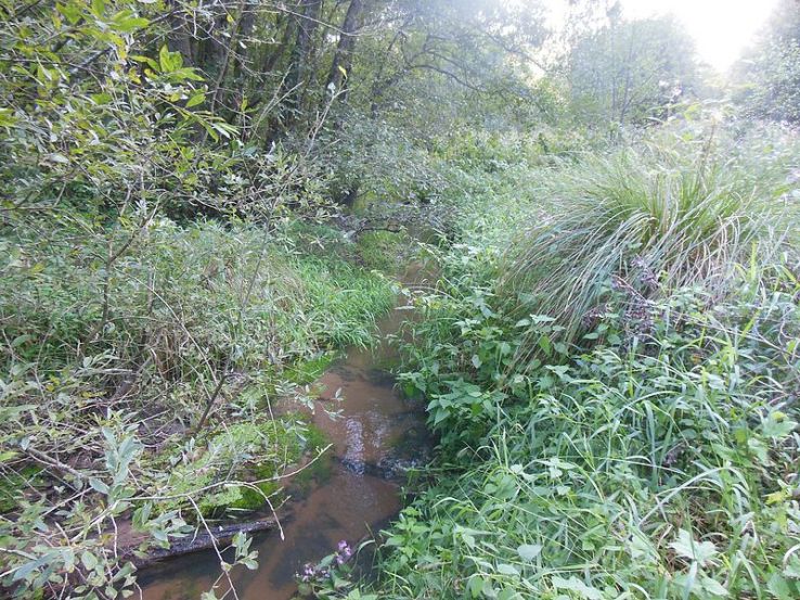 Montbronn Trip Packages