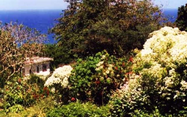 Barbados Trip Packages