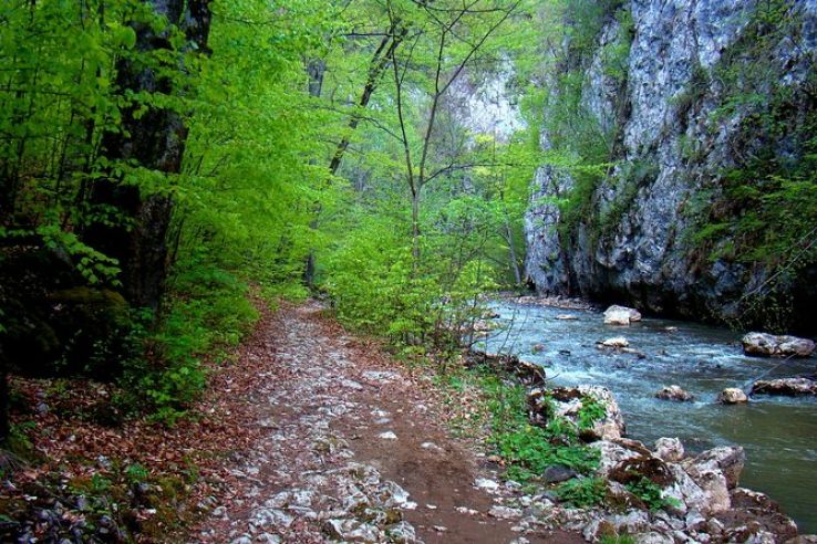 Varghis Trip Packages