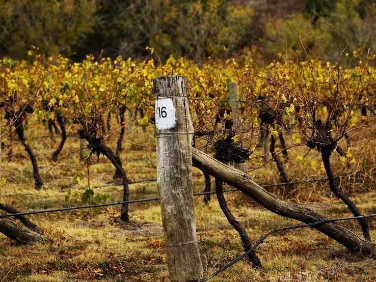 Sunbury Trip Packages