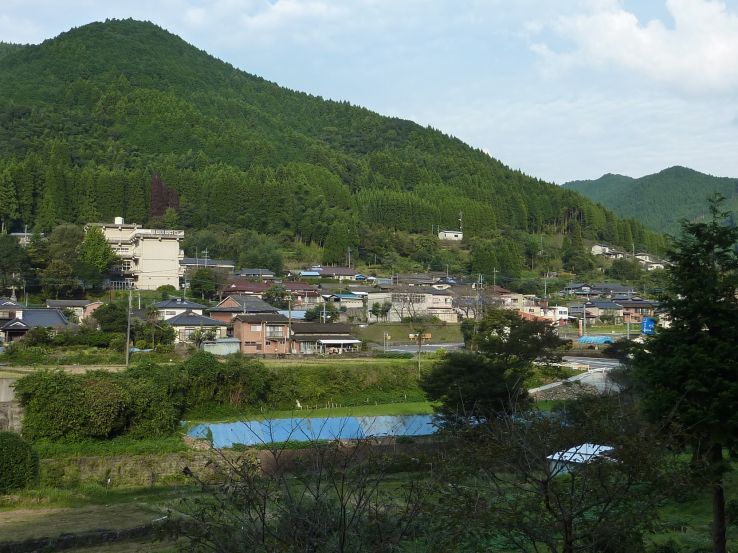 Minamata Trip Packages