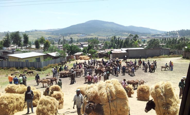 Sebeta Trip Packages