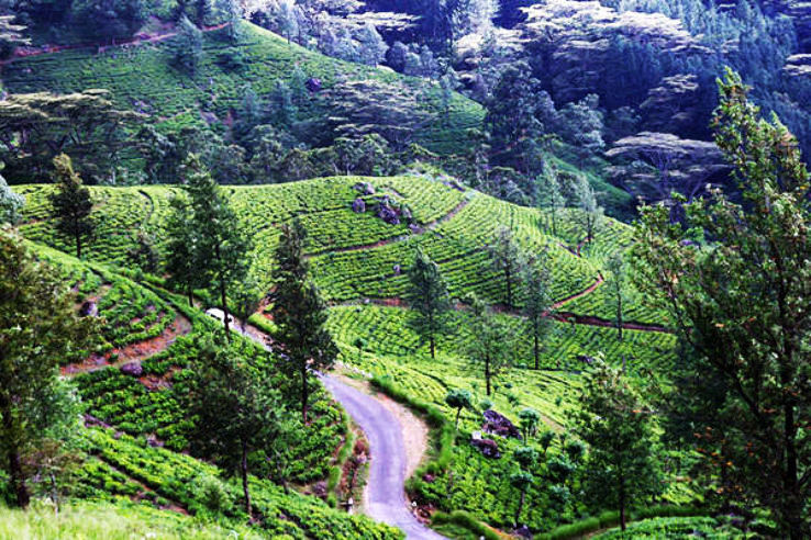 Matale Trip Packages