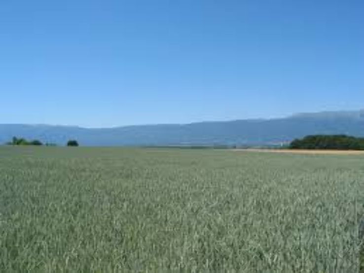 Geneva Friends Tour Package for 3 Days 2 Nights