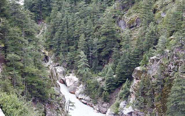 2 Days gangotri and new delhi Trip Package