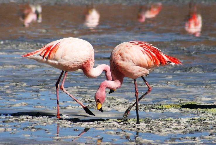 Pleasurable Bhuj Tour Package for 3 Days
