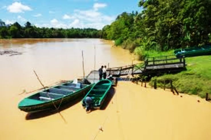 Kinabatangan Trip Packages