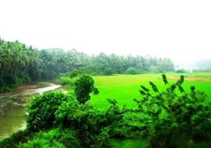 Kottakkal Trip Packages