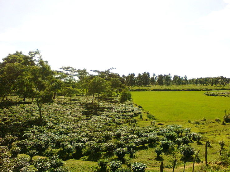 Goalpara Trip Packages