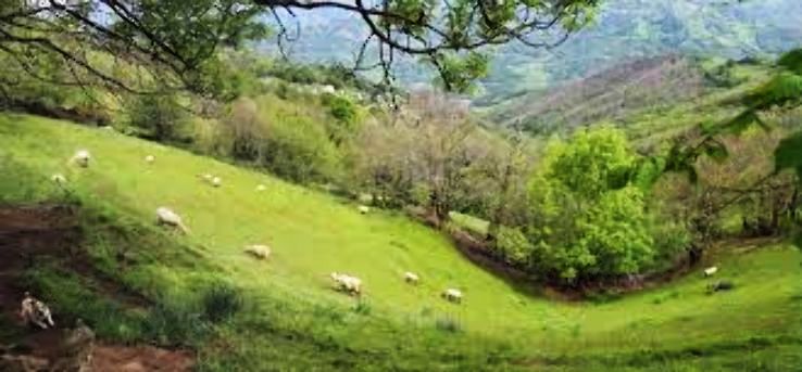 Laviana Trip Packages