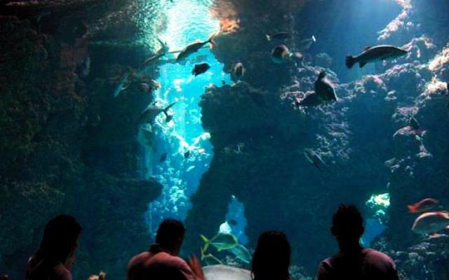 Monaco  Trip Packages