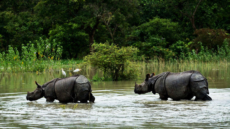 Magical 3 Days kaziranga guwahati airport Trip Package