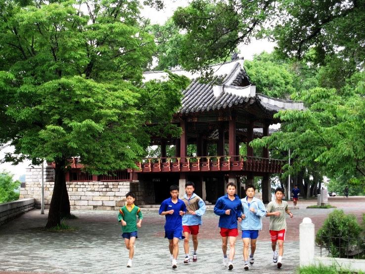 Pavilion Trip Packages