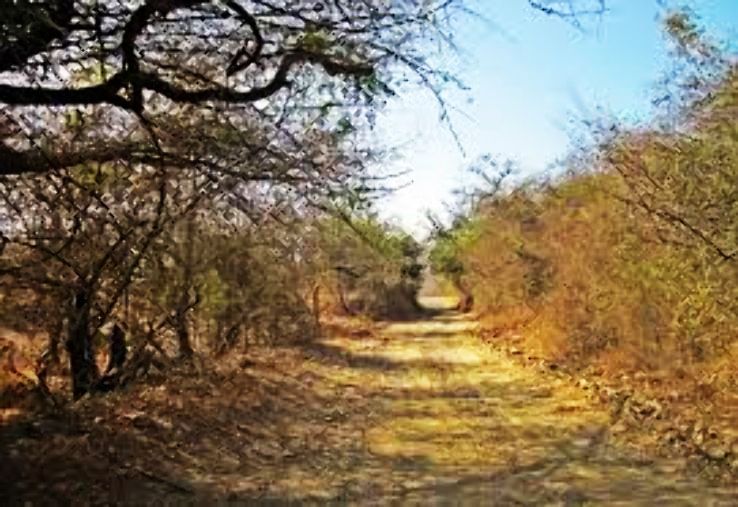 Talala Trip Packages