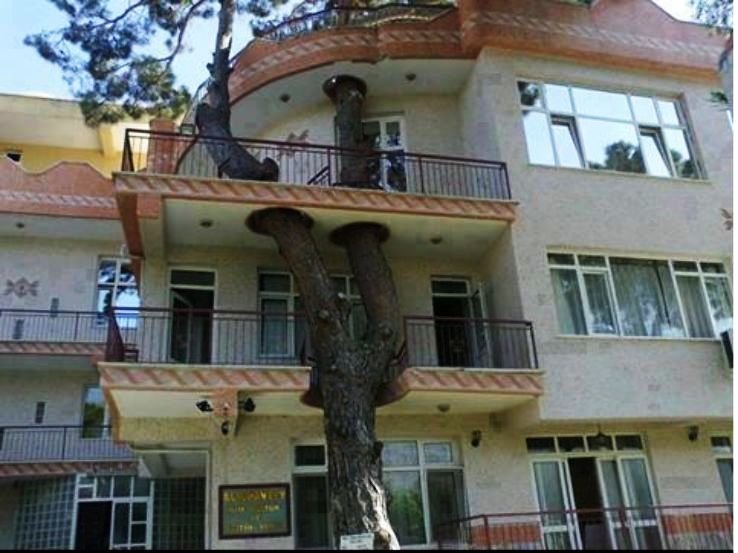 Nagina Trip Packages