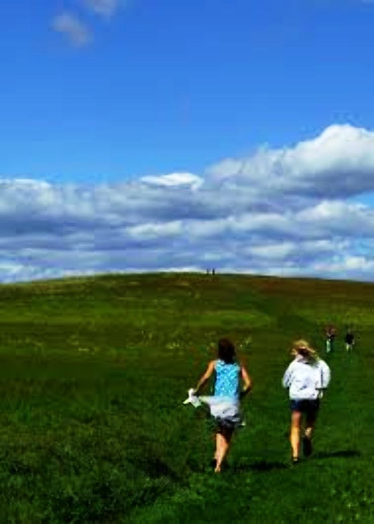 Dexter Trip Packages