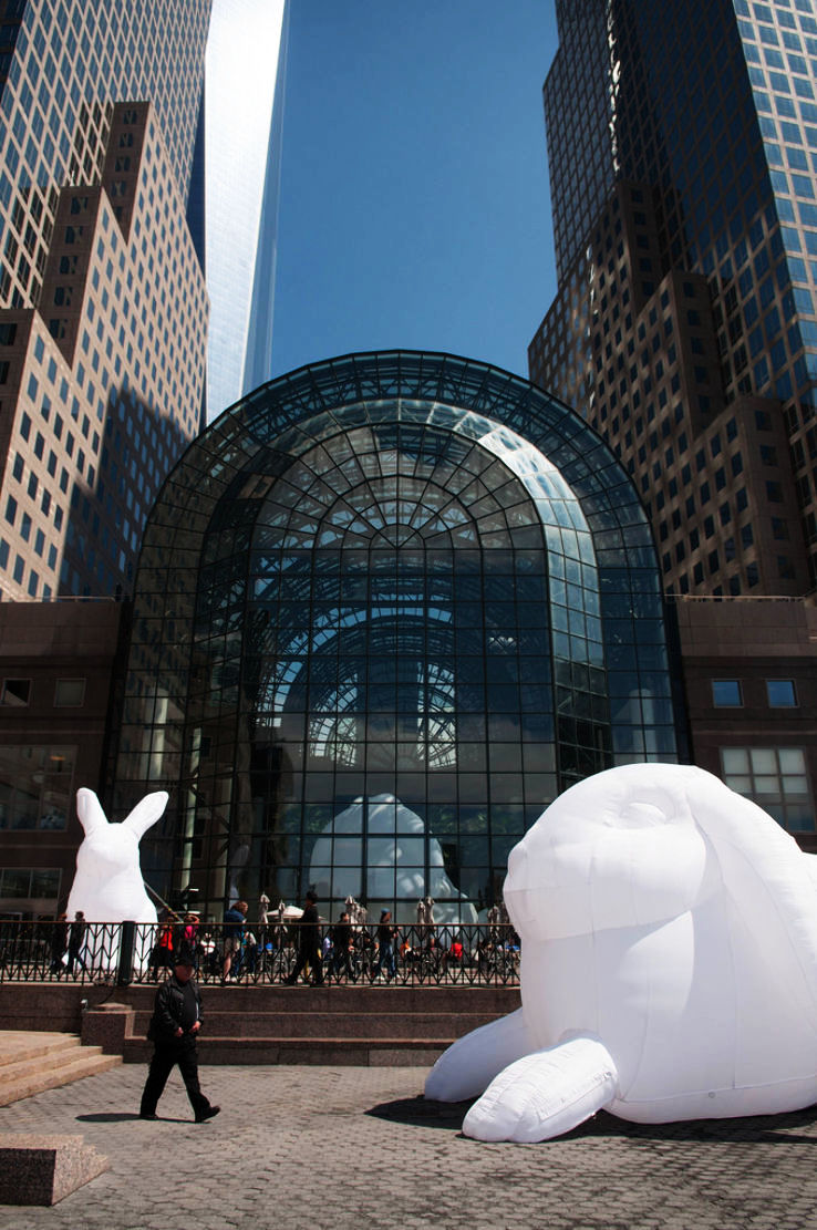 Amanda Trip Packages