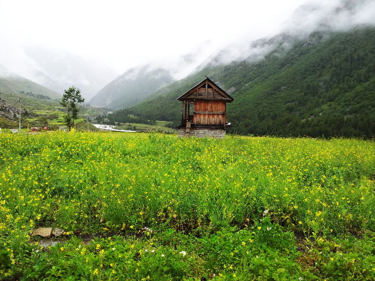 Chitkul Trip Packages