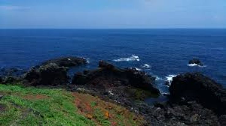 Seogwipo Trip Packages