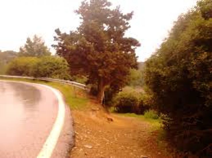 Acharnes Trip Packages