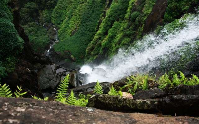 Agumbe Trip Packages