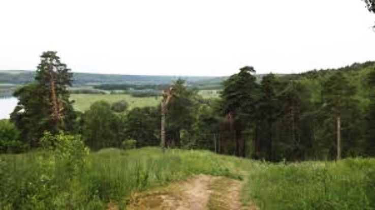 Aleksin Trip Packages