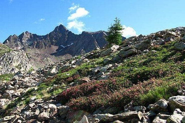 Alpes Maritimes Trip Packages