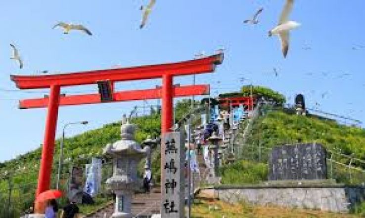 Hachinohe Trip Packages