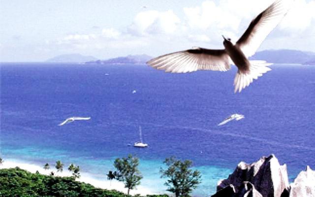 La Digue Trip Packages