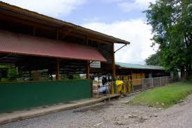 Siquirres Trip Packages