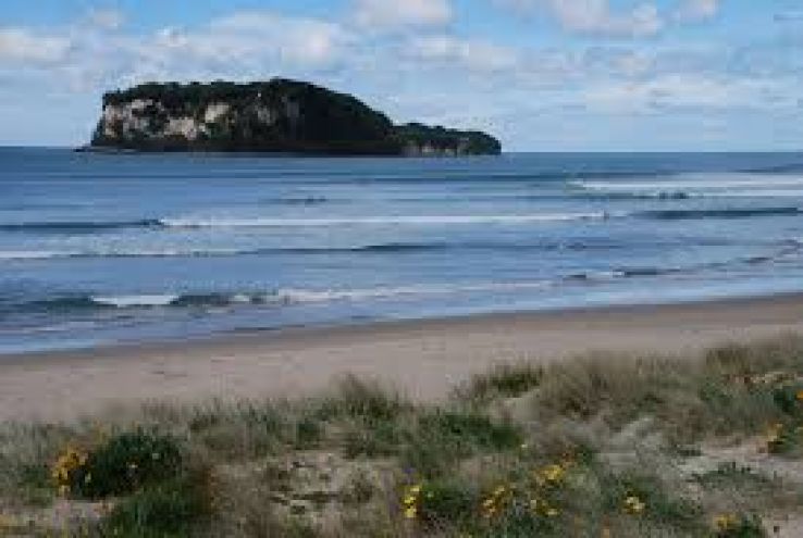Whangamata Trip Packages