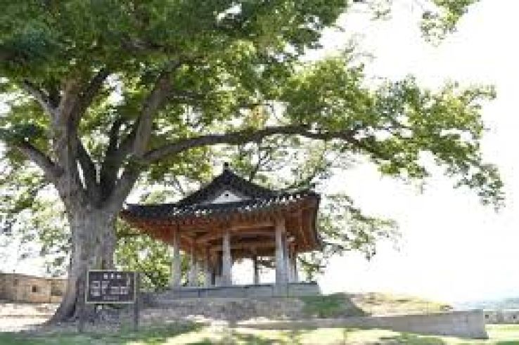 Ganghwado Trip Packages