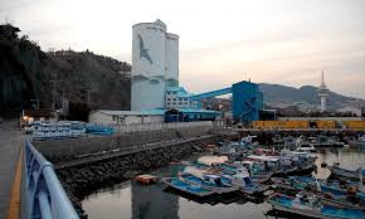 Yeosu Trip Packages