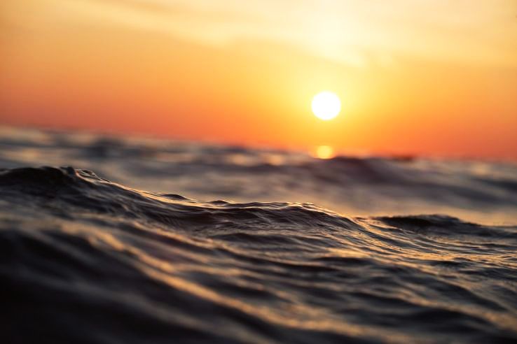 Dandelii Trip Packages