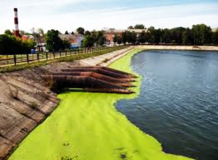 Bogoroditsk Trip Packages