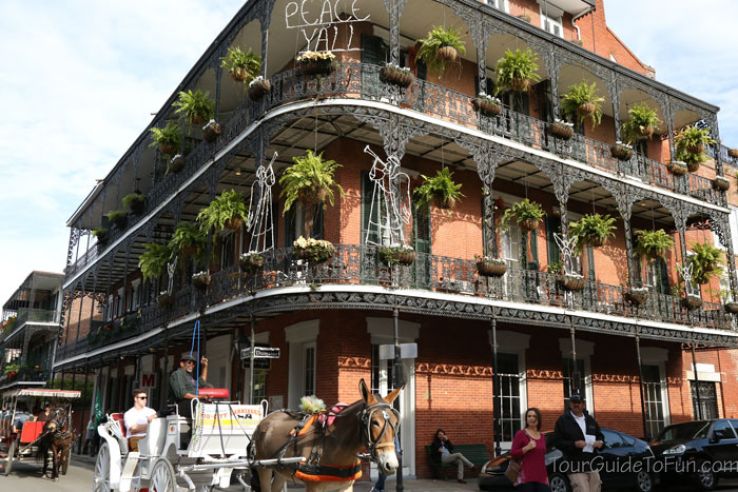 Nola Trip Packages