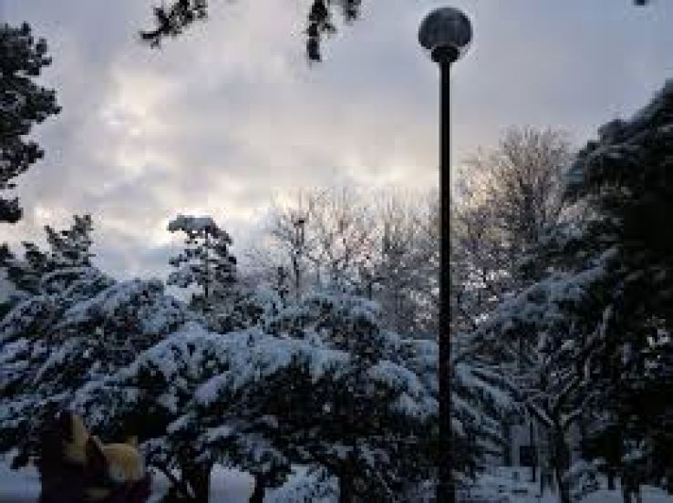 Furano Trip Packages