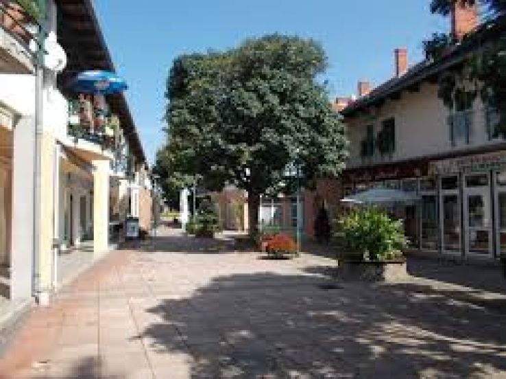 Somogy Trip Packages