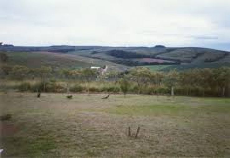 Carambei Trip Packages