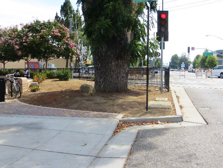 Campbell Trip Packages