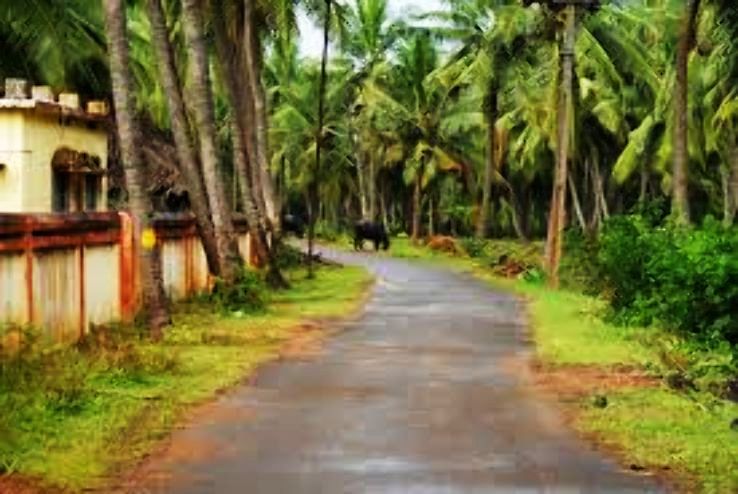 Experience 3 Days 2 Nights konaseema Trip Package