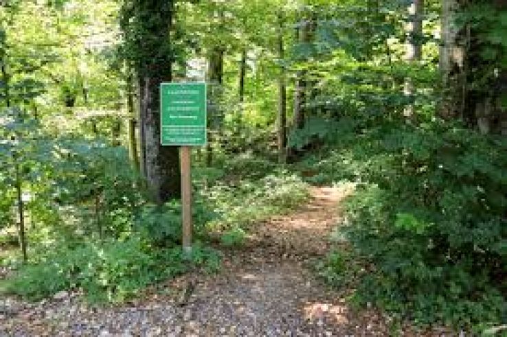 Elsbethen Trip Packages