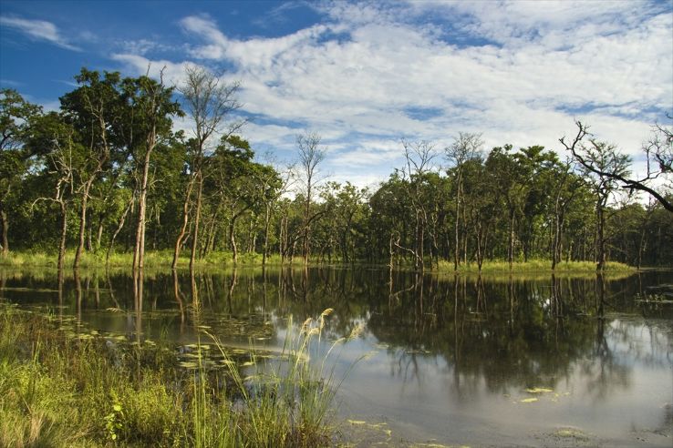 Chitwan Trip Packages