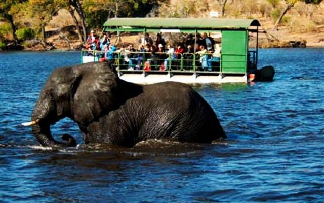 Botswana Trip Packages