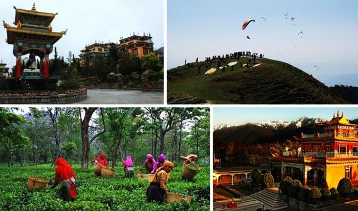 Spring Valley Resorts, Dharamshala-birr-billing-Palampur 4 nights 05 days tour Package