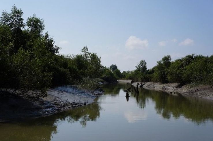 Bogale Trip Packages